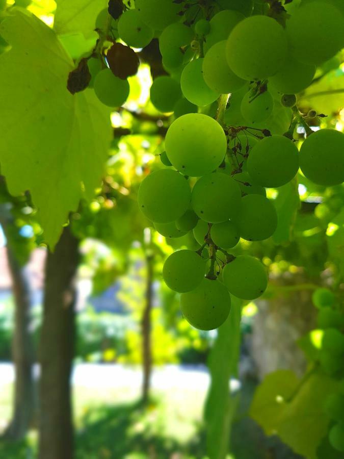 Porto Alegria Garden Ξενοδοχείο Εξωτερικό φωτογραφία